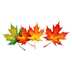 Fototapeta premium Realistic Colorful Maple Leaves Illustration In Vibrant Red