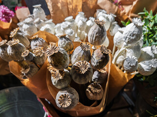 Dried Poppy Seed Pods in Rustic Floral Arrangement
