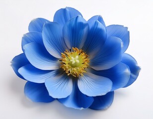 Fototapeta premium springtime theme greeting card blue flower copy space white background masterpiece high quality
