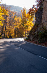 Serene Autumn Road in a Forested Mountain Landscape