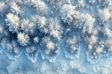 Aerial View of a Snow Covered Winter Forest