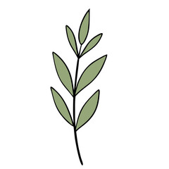 summer flower illustration flat design