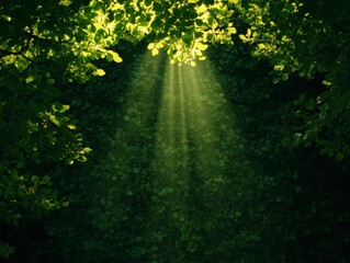Obraz premium A serene view of sunlight filtering through lush green leaves, creating a tranquil atmosphere in a natural setting. The interplay of light and foliage evokes a sense of peace and connection to nature.