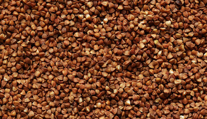 Buckwheat groats, top view. Raw large buckwheat grains, uncooked porridge. Buckwheat background. Raw buckwheat texture background, brown grains pattern
