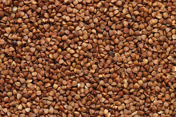 Buckwheat groats, top view. Raw large buckwheat grains, uncooked porridge. Buckwheat background. Raw buckwheat texture background, brown grains pattern