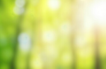 Obraz premium Soft focus nature scene with vibrant green, light yellow tones. Sunlight filters through foliage creating soft bokeh effect. Perfect background for spring summer design. Natural light, fresh colors
