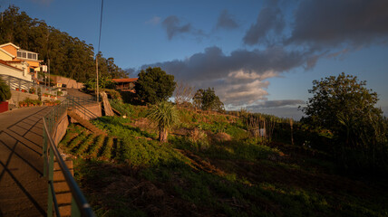 A scenic rural landscape at sunset featuring a hillside with cultivated fields, a narrow path, and houses surrounded by trees. The warm light creates a peaceful and idyllic atmosphere.