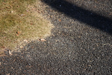 アスファルトの道・道端の芝