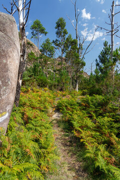 View of granite formations during the hike route to Monte Pindo and A Moa peak, Carnota, Coru&ntilde;a, Galicia - Spain. Mountains in the Galician Death Coast. 