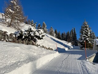 Winter snow idyll along the rural alpine road above the Swiss tourist sports-recreational winter resort of Davos - Canton of Grisons, Switzerland (Kanton Graubünden, Schweiz)