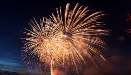 Radiant Fireworks Display Against a Night Sky