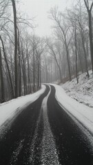 Winding Snowy Road Through a Winter Forest Landscape - A Scenic and Tranquil Journey Amidst Snow-Covered Trees and Foggy Weather in Nature