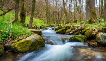 Sparkling Stream Flowing through a Spring Landscape