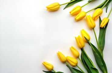 Yellow tulips arranged in beautiful spring flower composition on plain white background. Flowers display vibrant color, fresh plants. Ideal for spring holidays like Easter, Mothers Day, Valentines