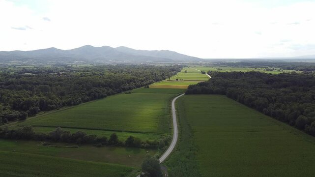 countryside road in fields