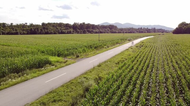 countryside road