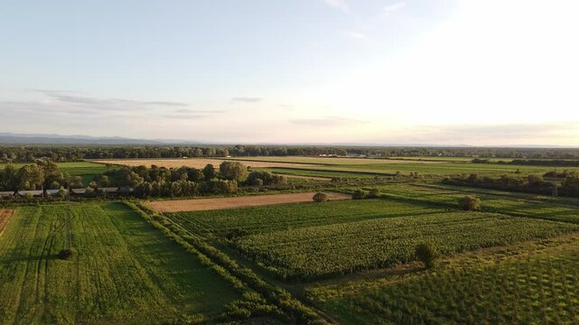 cargo train in rural landscpae