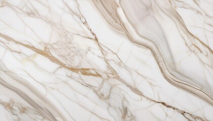Obraz premium Elegant Marble Texture Background in Neutral Tones