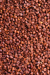 Vertical layout of roasted coffee beans, accentuating the fine details, texture, and color variations, ideal for coffee lovers and kitchen decor themes.