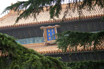 Forbidden City roof top