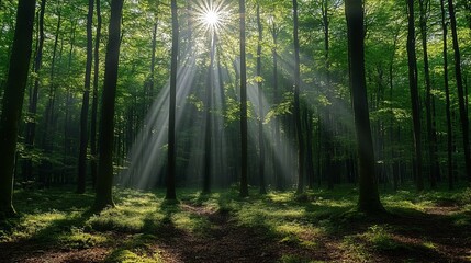 Fototapeta premium Serene spring forest landscape with vibrant greenery and soft sunlight filtering through the trees