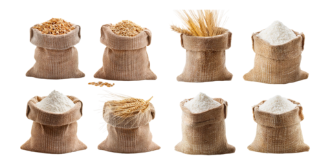 Variety of Grain and Flour in Burlap Sacks with Transparent Background