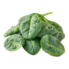 Fototapeta premium Fresh green spinach leaves arranged on a white background, isolated.