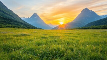Fototapeta premium The tranquil meadow sprawls out before you, carpeted with vibrant green grasses and wildflowers, as the sun dips behind the towering mountains