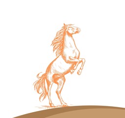 The illustration of an orange horse standing on its two hind legs while its two forelims lift into the air. The background of the picture is white with a hint of brown at the bottom of the picture.