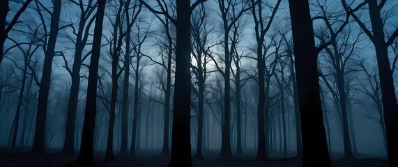 Obraz premium Bare forests showcasing intricate patterns of branches silhouetted against the sky