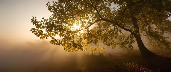 Rustlings of leaves and branches swaying gently under the evening sun