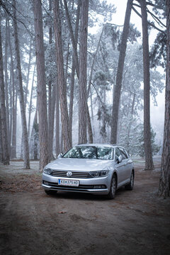 Silver Volkswagen Passat B8 Variant (station wagon) is parked in a serene, frosty forest setting. Tall pine trees and the misty tranquil atmosphere. Vertical image. Palic, Serbia, 31.12.2024