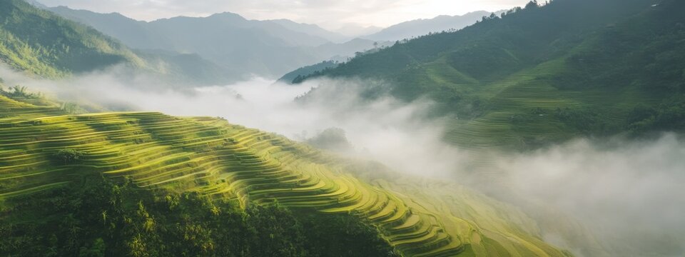 A serene aerial perspective of the rice terraces of Banaue, Philippines, carved into the mountainsides under the early morning mist