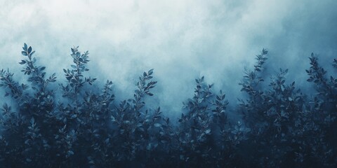 Misty forest landscape with tall pine trees