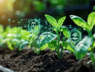 Innovative agriculture practices sustainable farm image of growing plants urban environment close-up view technology in horticulture