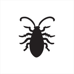 black and white beetle