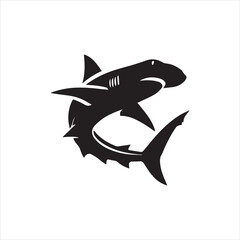 shark illustration isolated