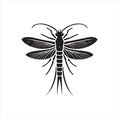 dragonfly on a white background