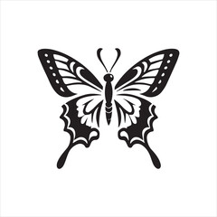 butterfly on white background