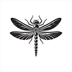 set of black and white dragonfly