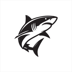 illustration of a shark