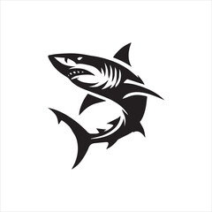 black and white shark