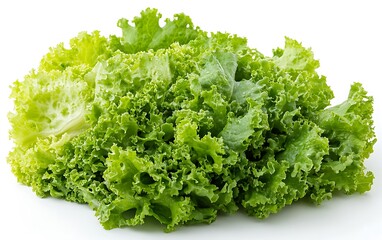 Obraz premium Fresh green lettuce leaves on white background, healthy food ingredient.