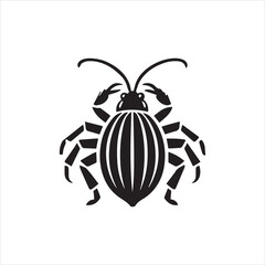 state potato beetle