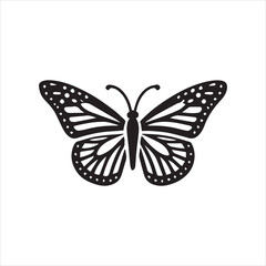 butterfly on white background