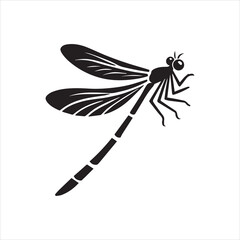 dragonfly on a white background