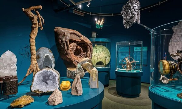 A fun, unusual museum with strange, mysterious objects, such as preserved specimens and crystals.