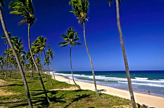 Praia em Arembepe. Bahia.