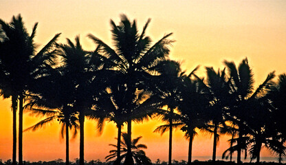 Entardecer em Trancoso. Bahia.