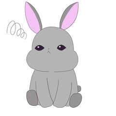 悩み事がある灰色のうさぎ
